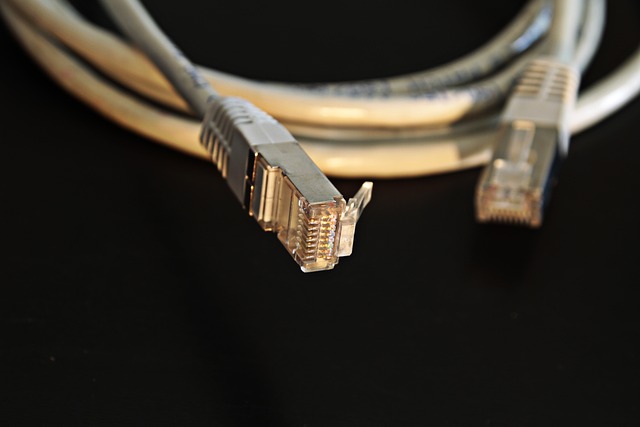 network network cable